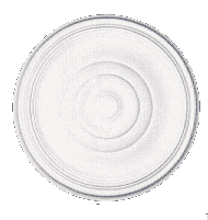 roseta1.gif (9130 bytes)