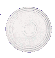 roseta2.gif (7706 bytes)