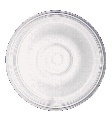 roseta6.gif (12465 bytes)